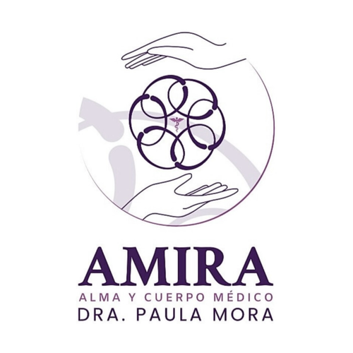 Logo de AMIRA