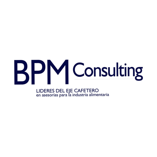 Logo de BPM Consulting